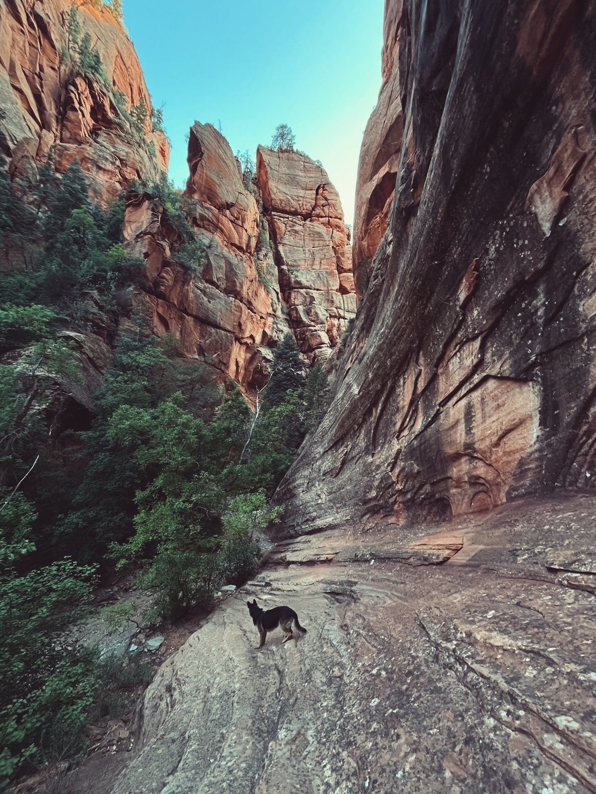 Spring Creek Canyon, Utah