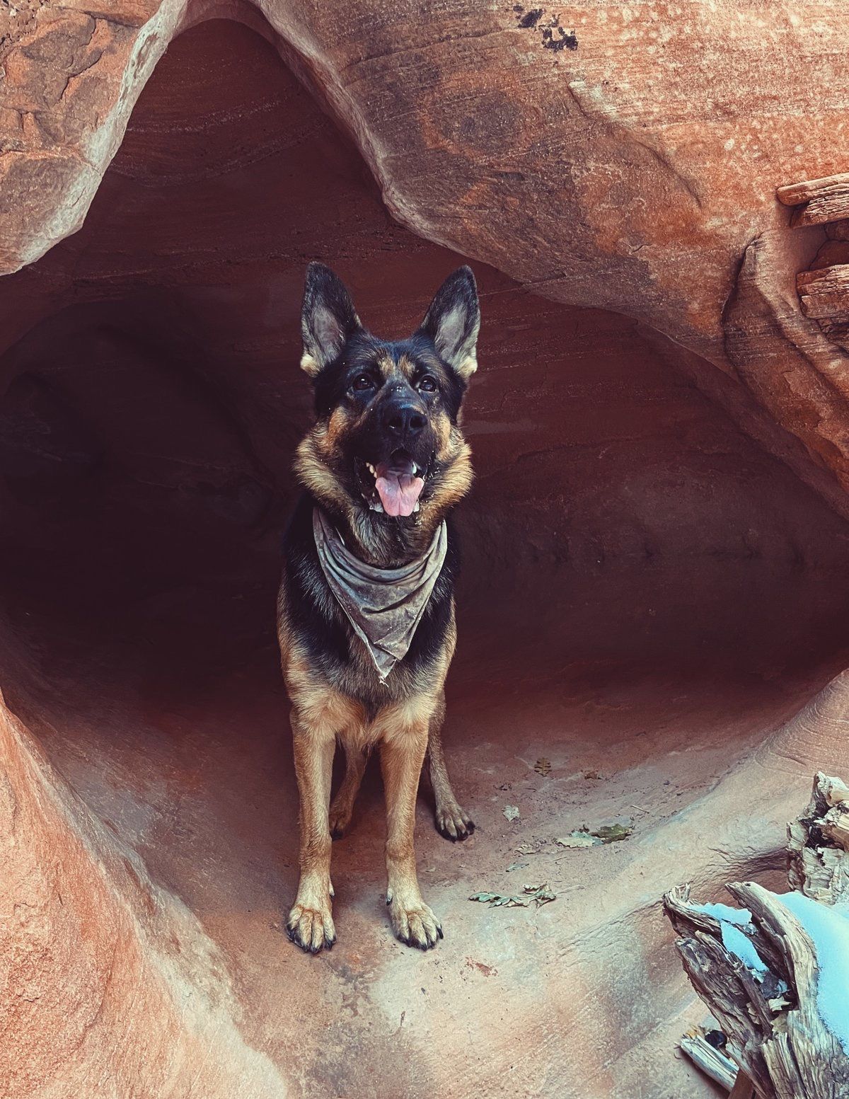 Southern Utah Dog Friendly Trails