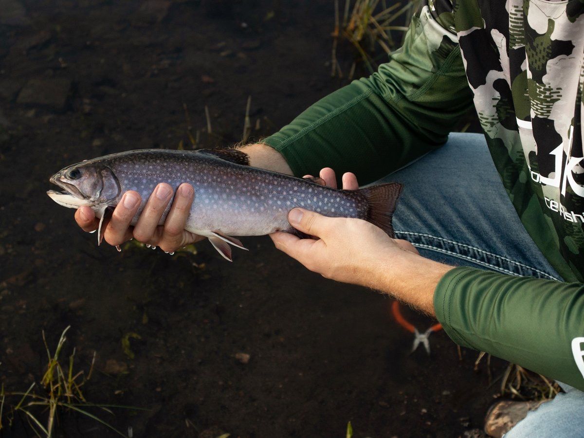 Yankee Meadows Fishing