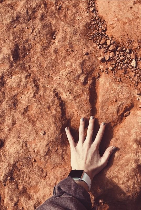 Southern Utah Dinosaur Tracks