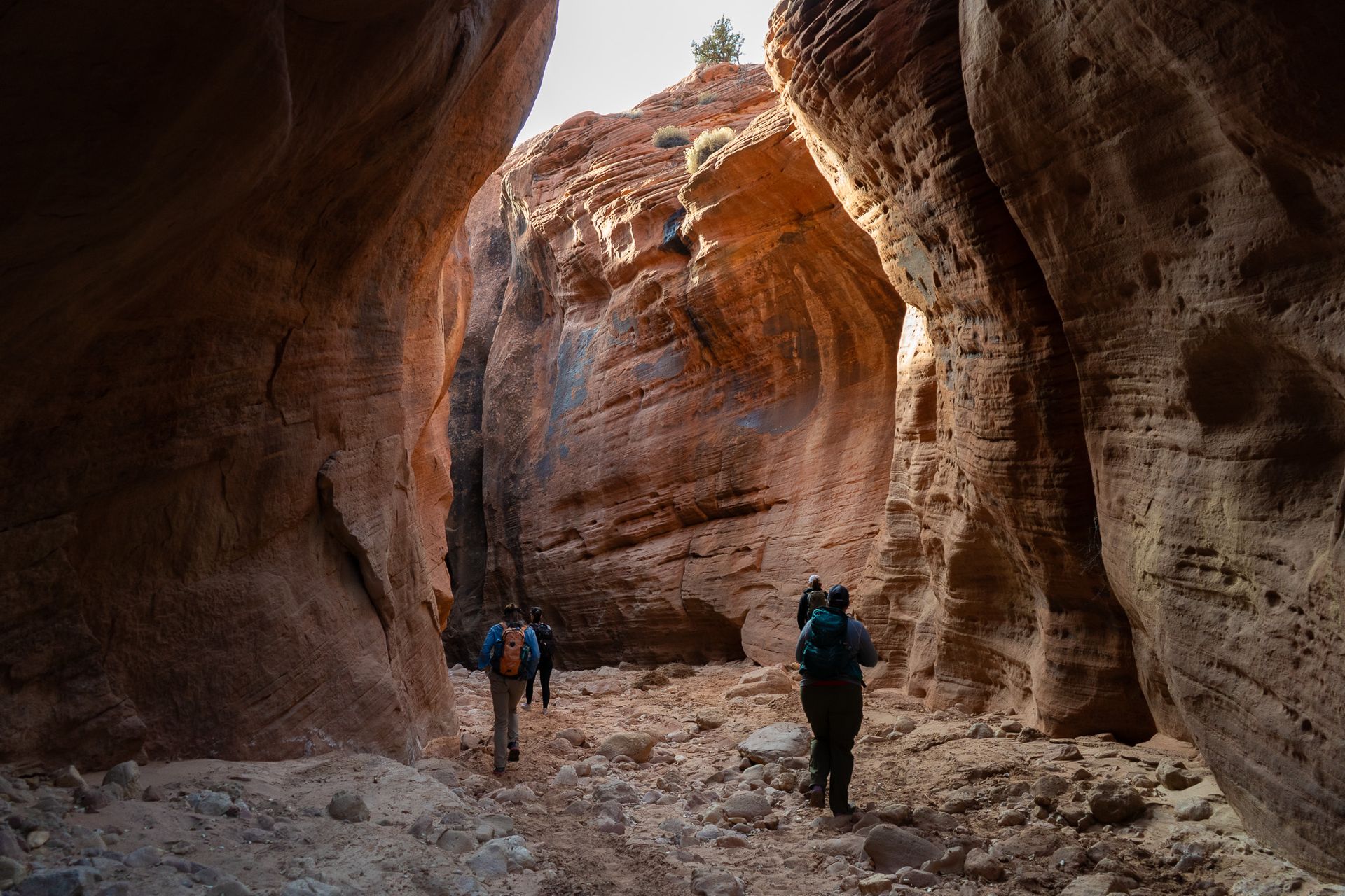 Buckskin Gulch