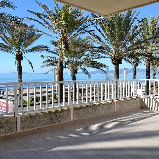 Un balcón con palmeras y el océano al fondo.