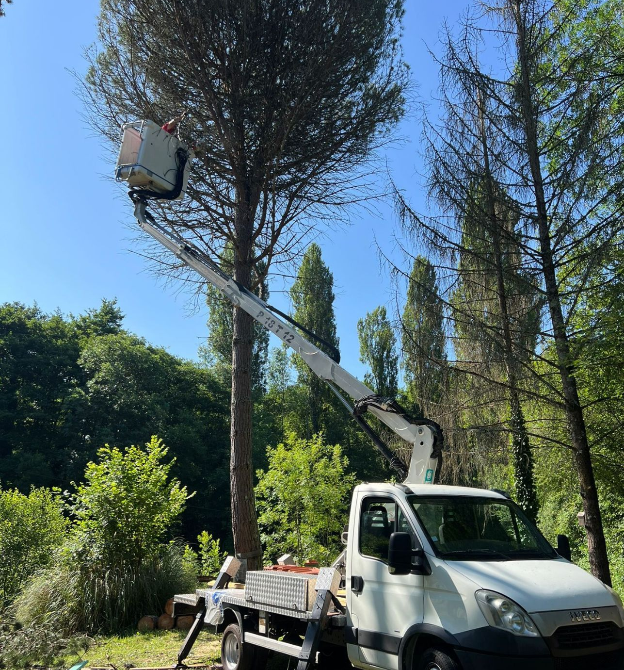 Élagage avec une nacelle