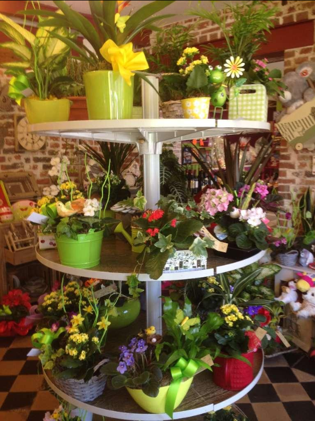 Vente de plantes d'intérieur