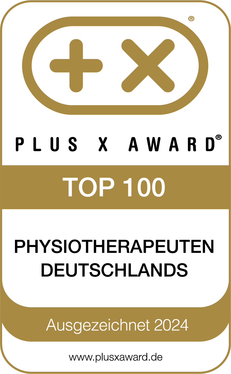 Zertifikat Plus X Award Top 100