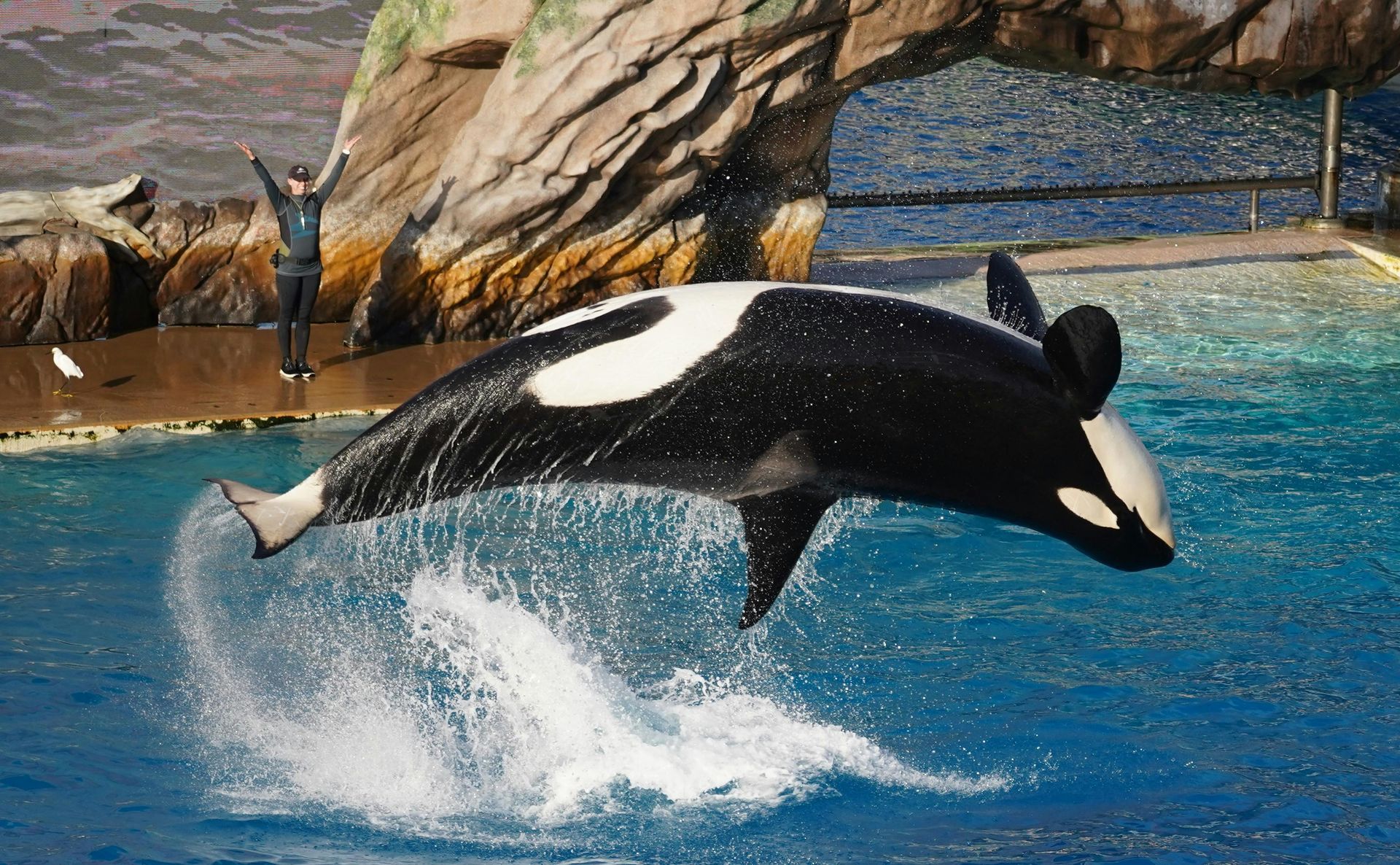 SeaWorld San Diego