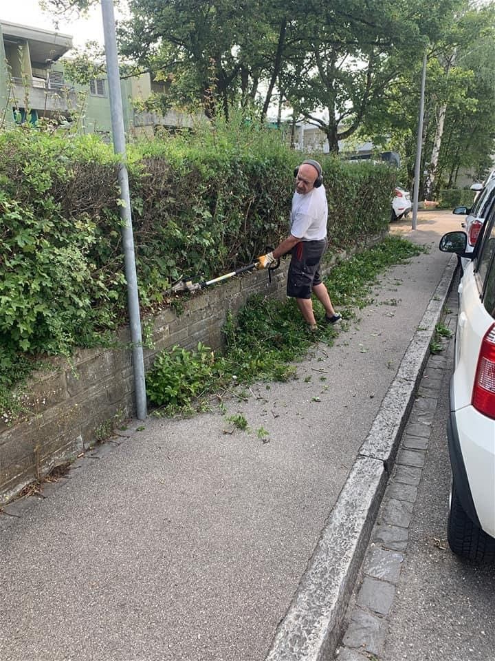 Riveiro Reinigung Heckenschnitt