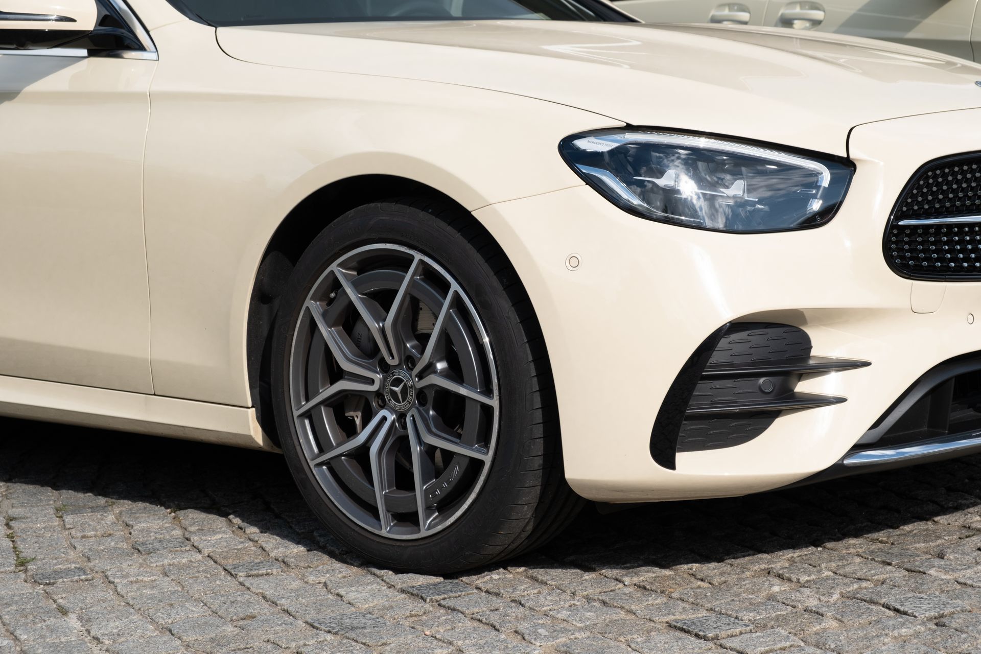 Doglo's Taxi Service Bremen