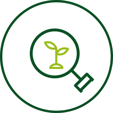 Picto loupe sur plante