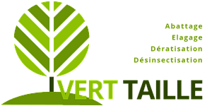 Logo Vert Taille
