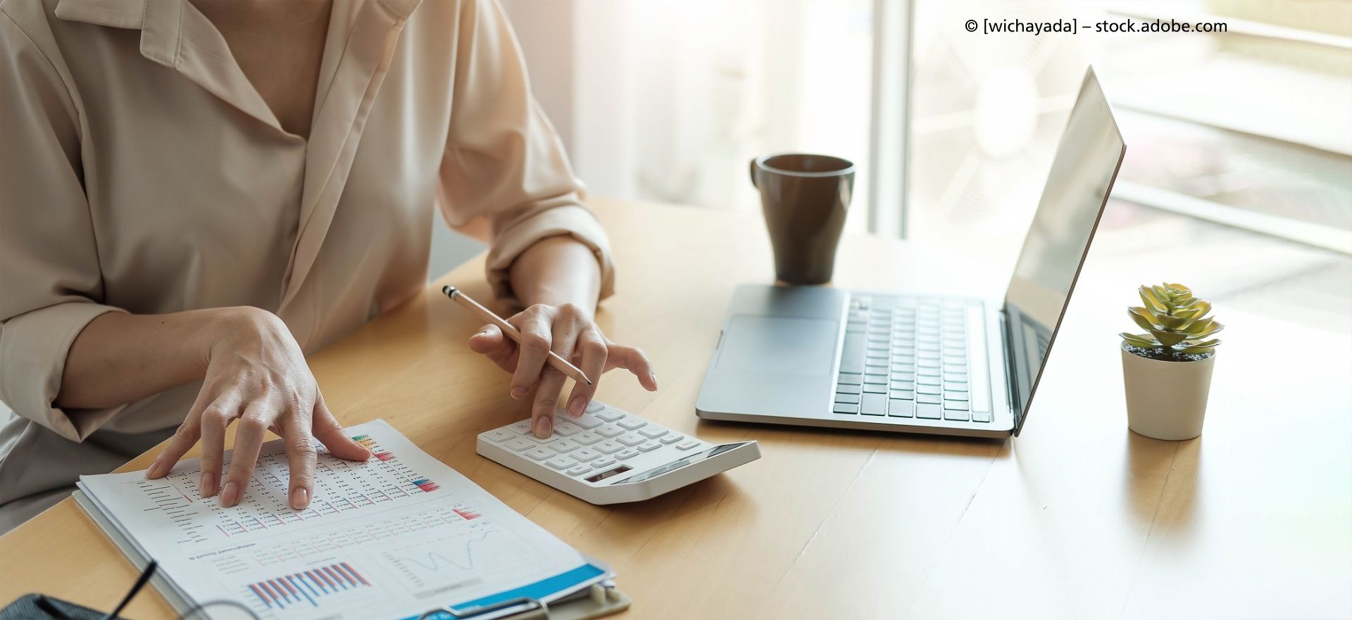 BAS Unternehmensberatung & Buchhaltungsbüro GmbH