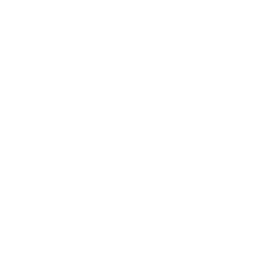 BAS Unternehmensberatung & Buchhaltungsbüro GmbH