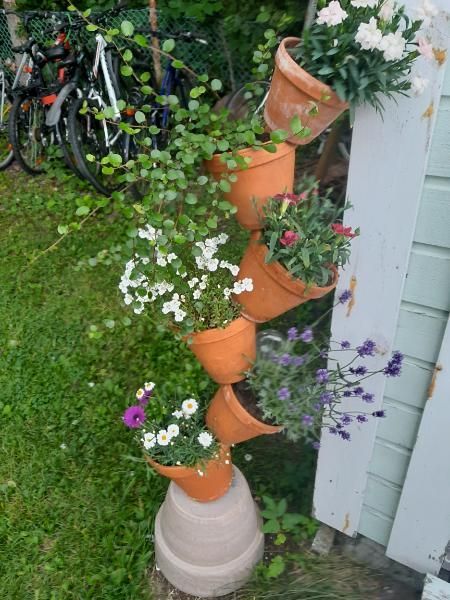 ristimaenkadunkiinteistot