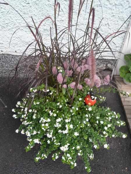 ristimaenkadunkiinteistot