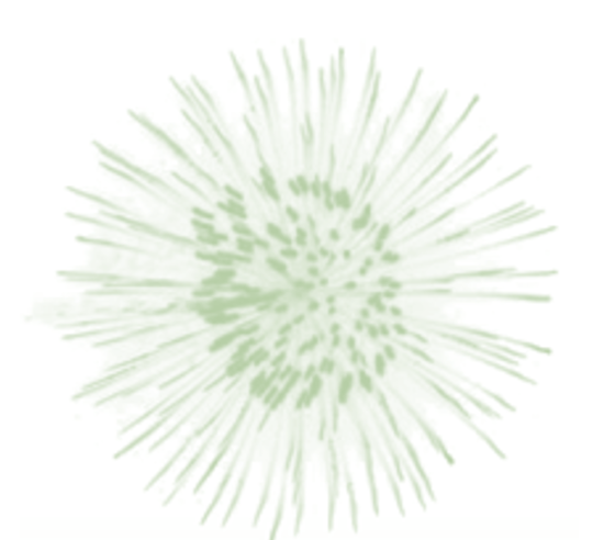 fleur Choucas.png