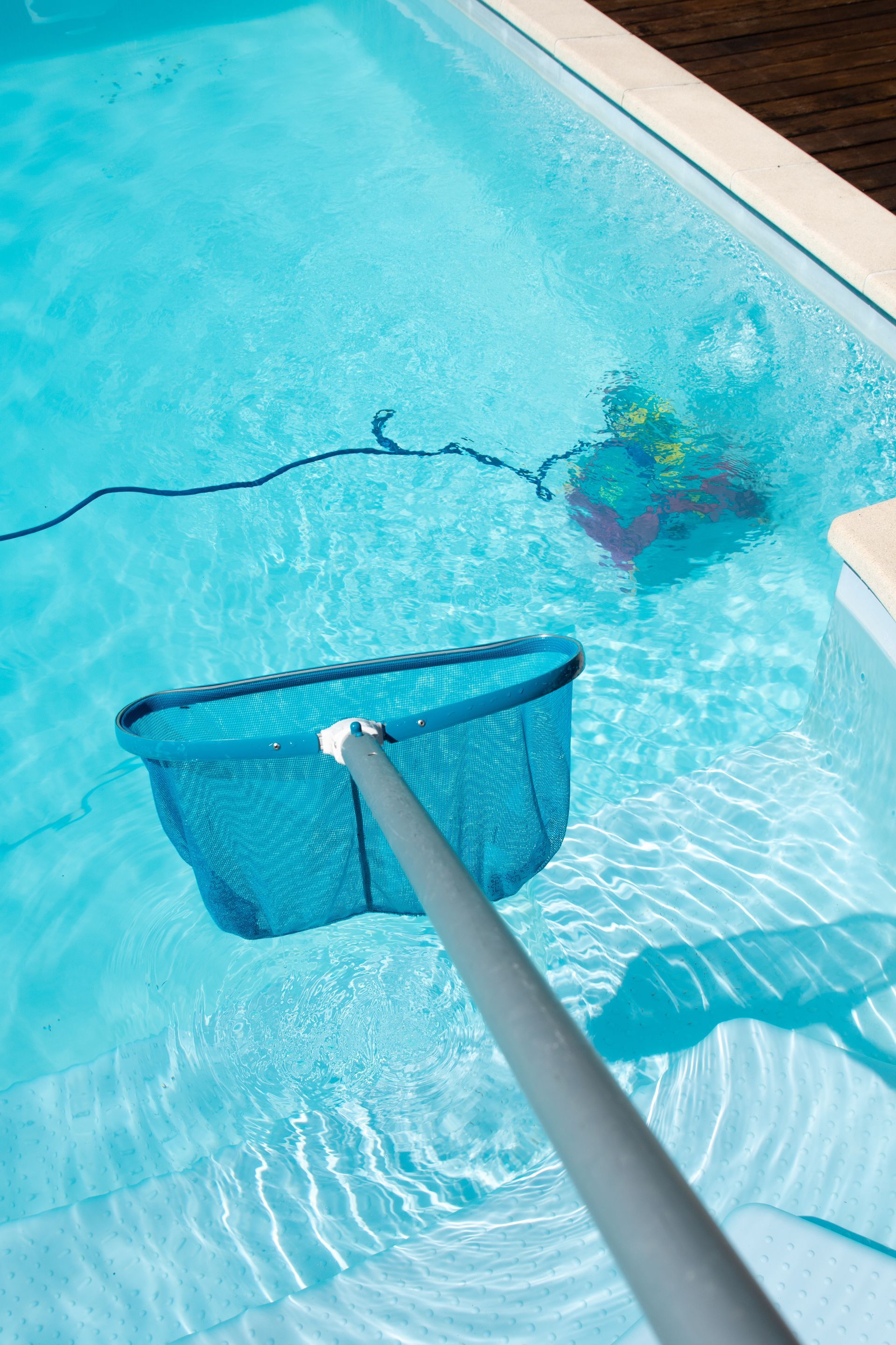 Un filet de piscine ramasse les débris d'une piscine ; de l'eau bleu vif et un robot nettoyeur sont visibles.
