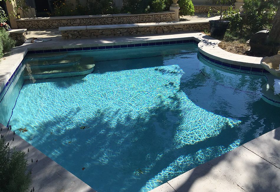 Piscine à l'eau bleu clair, entourée de béton et d'aménagement paysager.