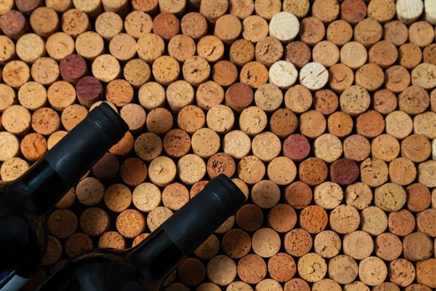 Dos cuellos de botellas de vino negras descansan sobre un fondo densamente repleto de corchos de vino de diversos tipos.