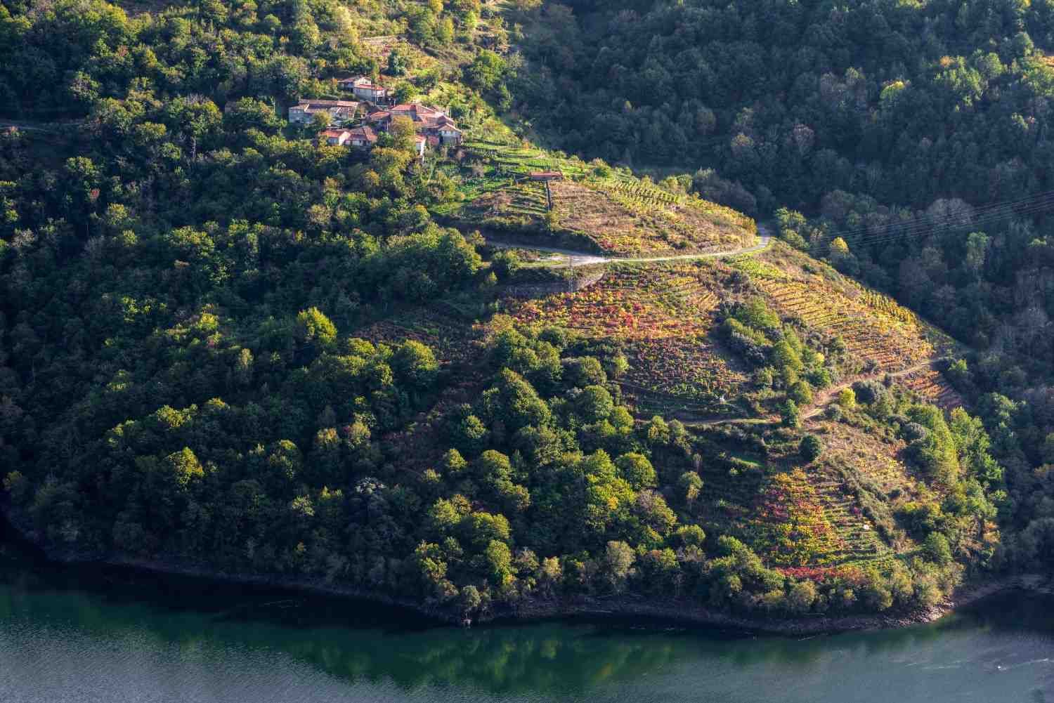 Vista aérea de una colina boscosa con vistas a un río de color verde oscuro, con un pequeño grupo de edificios en la cima.