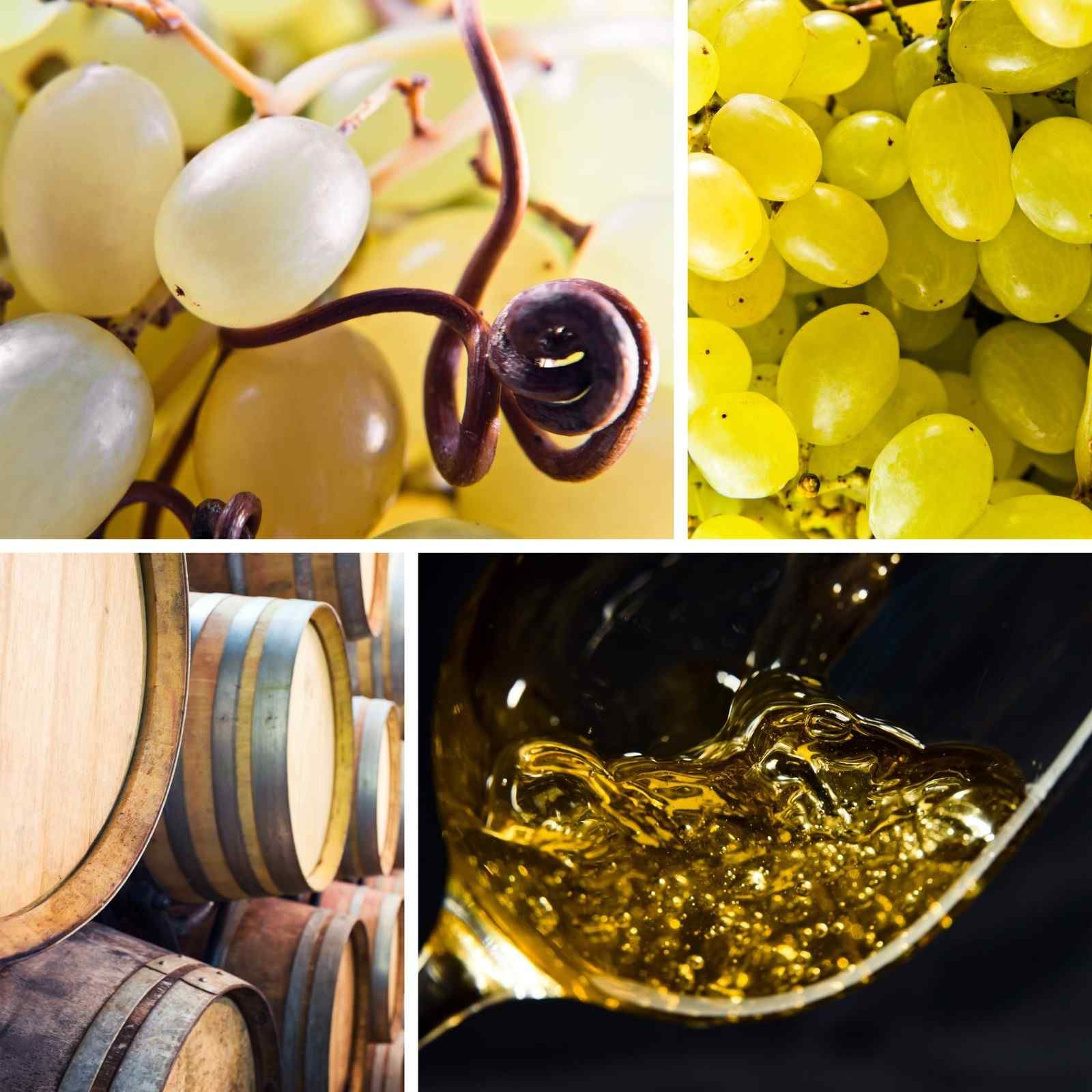 Un collage que muestra uvas verdes, barricas de vino de madera y vino dorado arremolinándose en una copa.