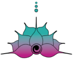 A.E.M. Logo