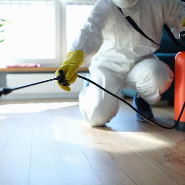 Trabajador de control de plagas con traje protector rociando el piso de una cocina, con insectos marrones cerca.