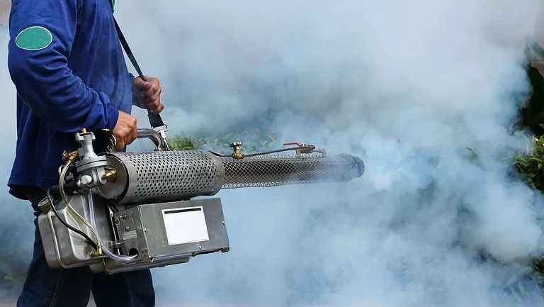 Un hombre está usando una máquina para rociar humo sobre un árbol.