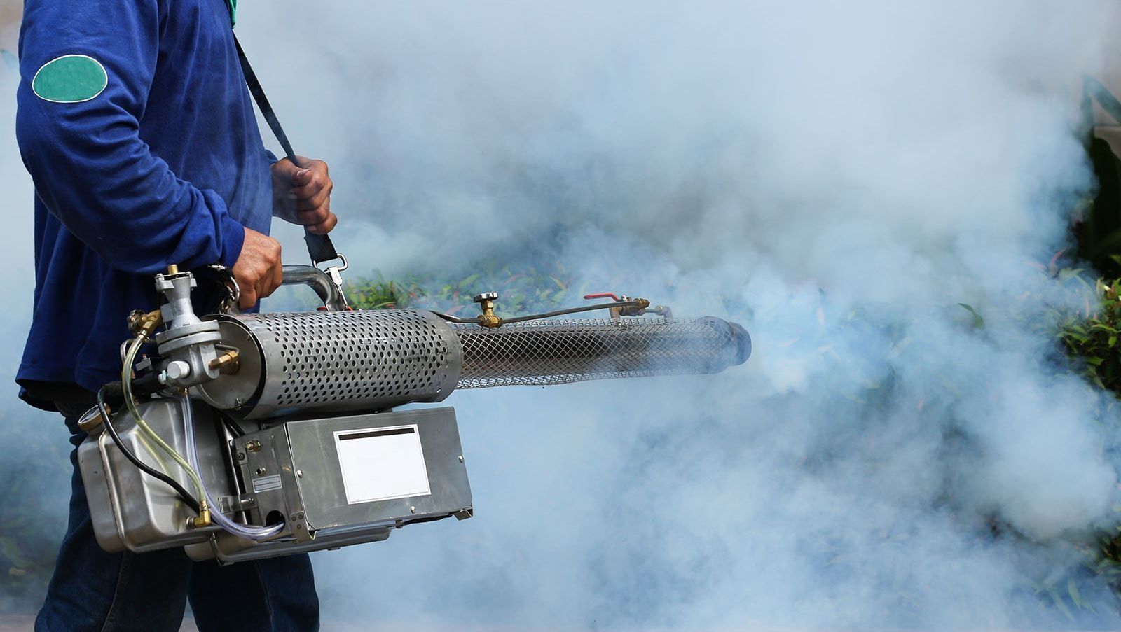 Un hombre está usando una máquina para rociar humo sobre un árbol.
