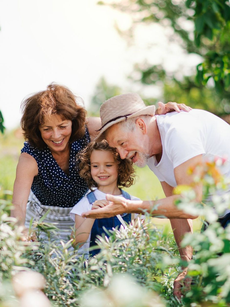 Des grands-parents et leur petite fille s'occupent d'un jardin en souriant.