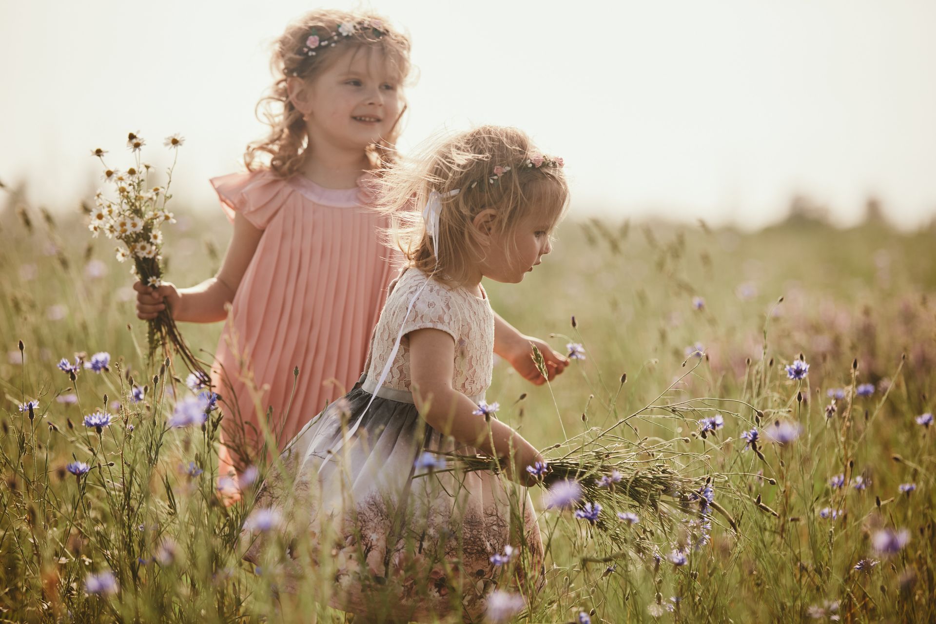 Deux petites filles blondes jouent dans un champ de fleurs sauvages.