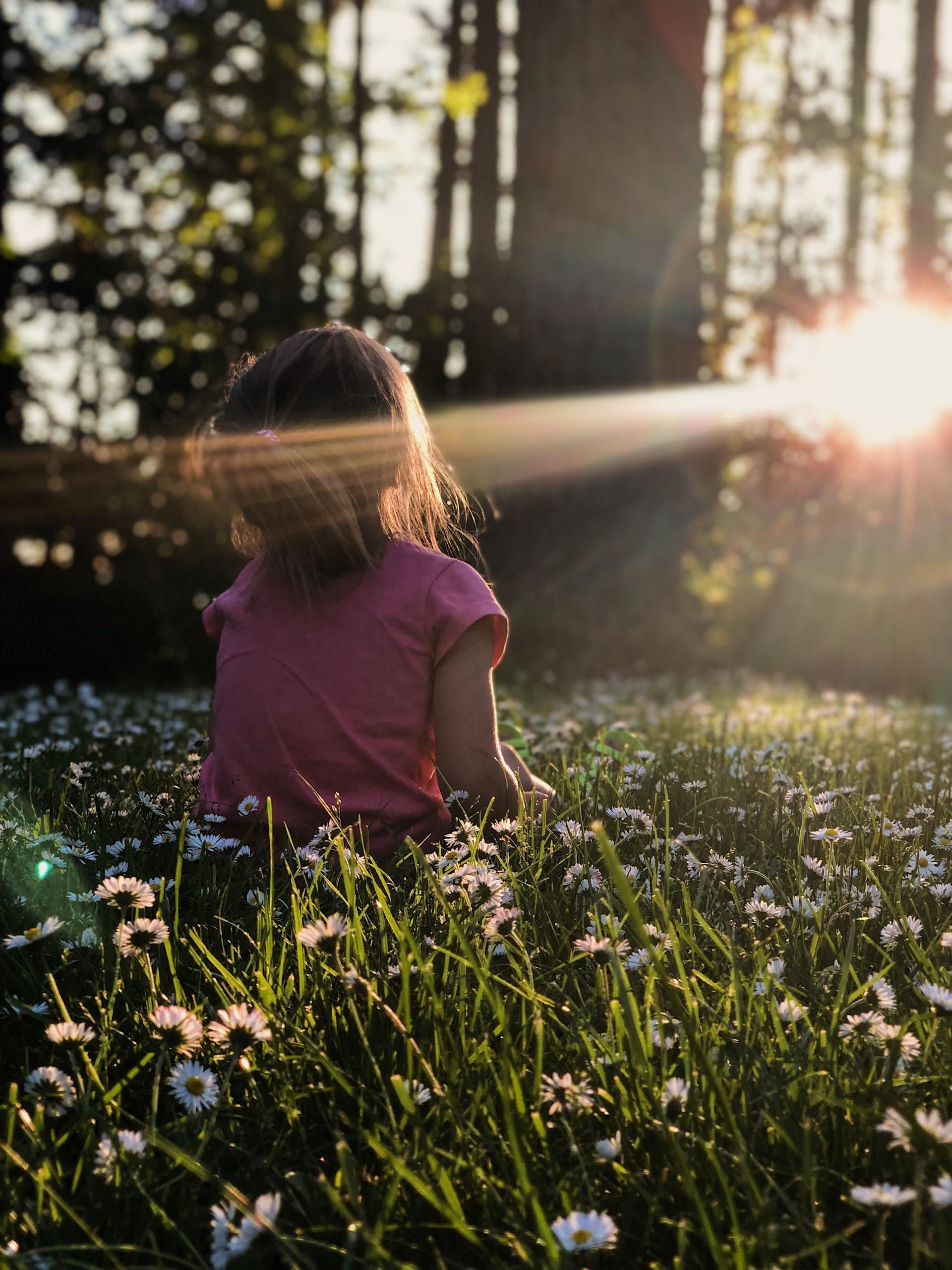Enfant en chemise rose assise dans une prairie ensoleillée de fleurs sauvages au coucher du soleil.