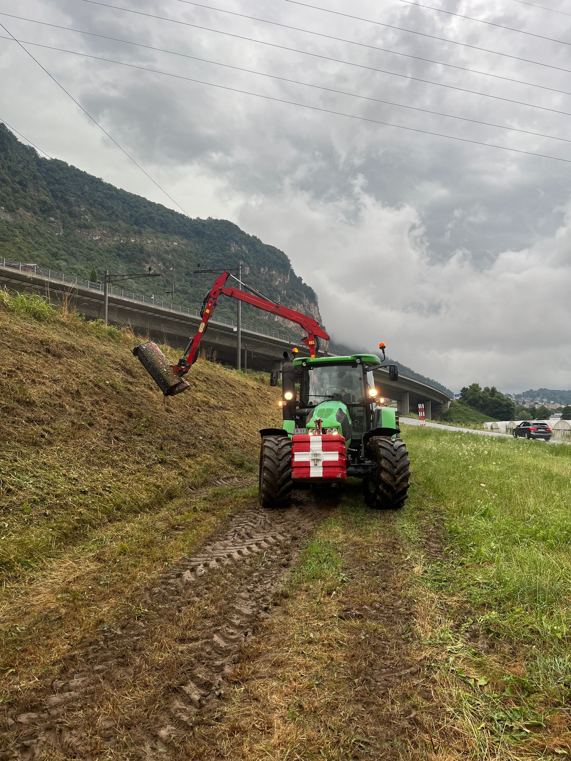 Riva Giorgio Commercio Legna - Pulizia terreni