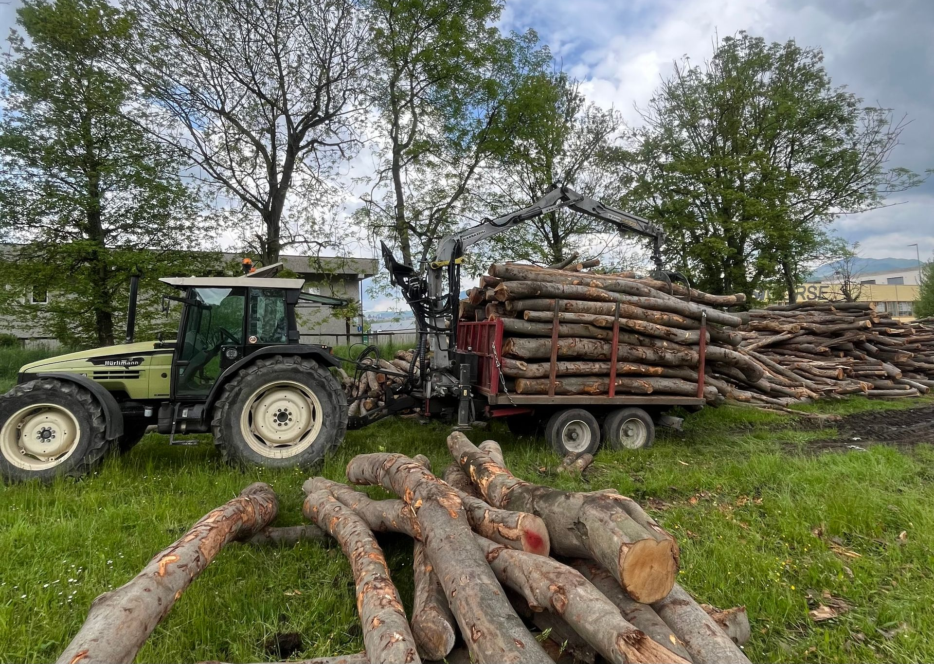 Riva Giorgio Commercio Legna - Taglio alberi e trasporto legname