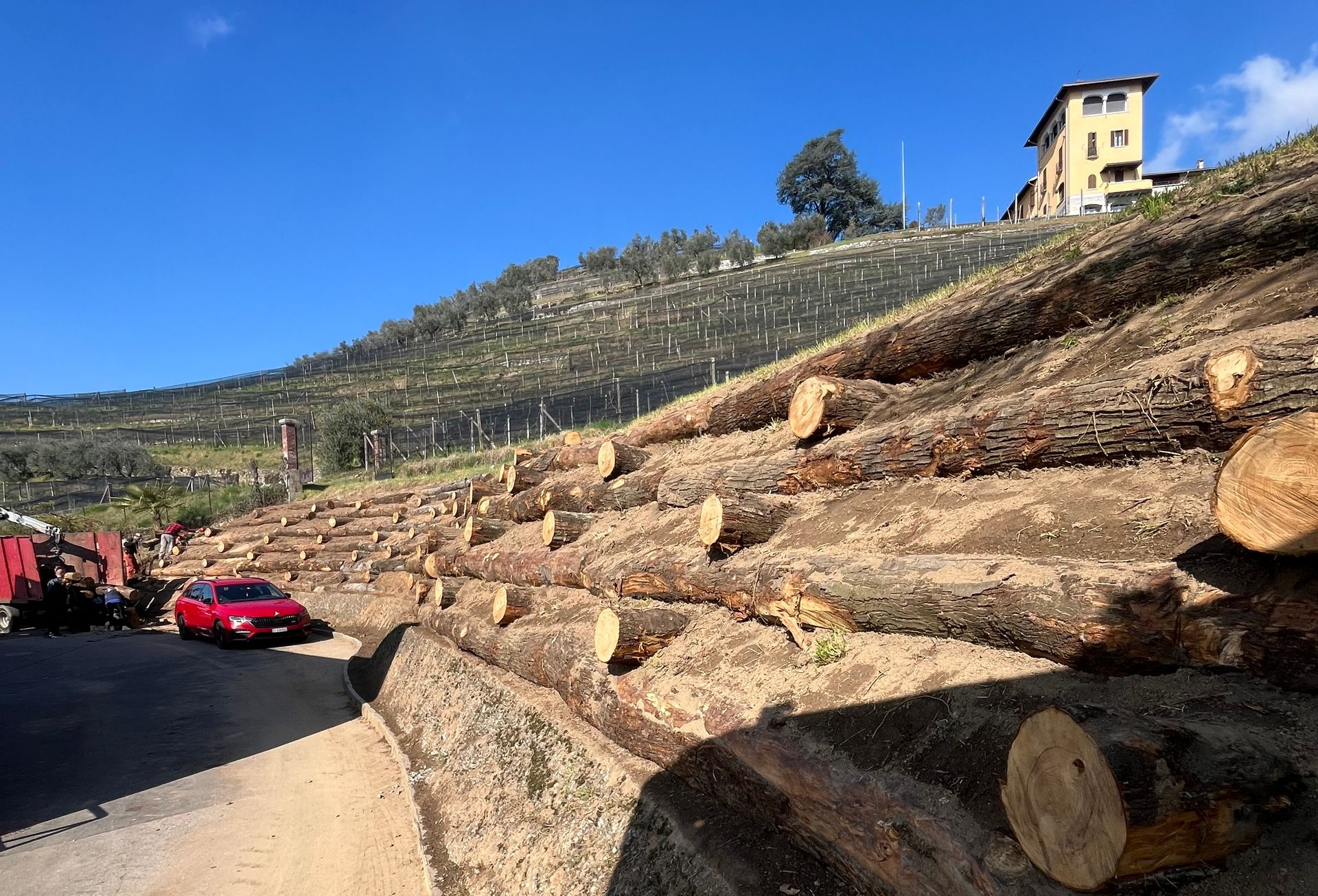 Riva Giorgio Commercio Legna - Cassoni in castagno