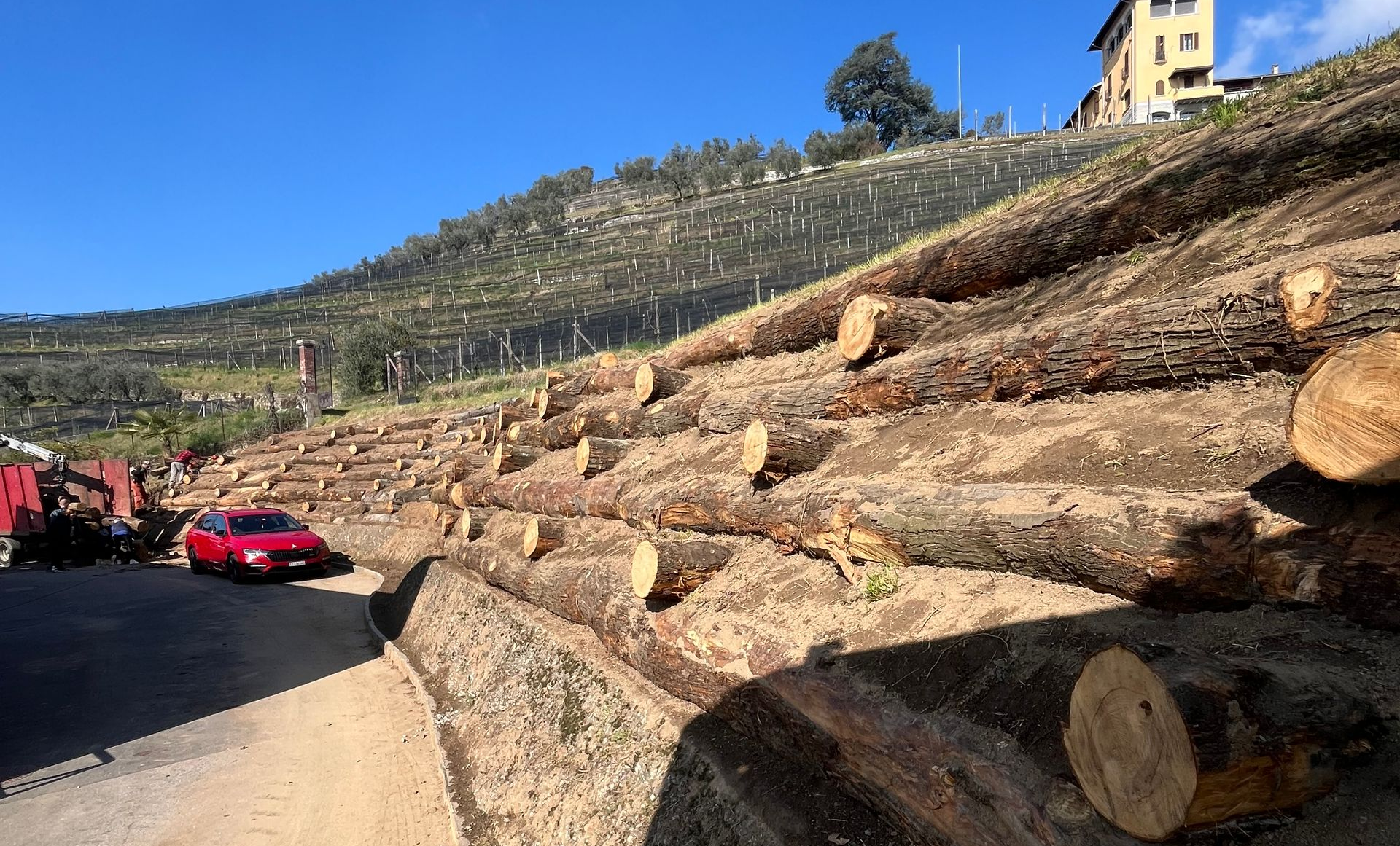 Riva Giorgio Commercio Legna - Cassoni