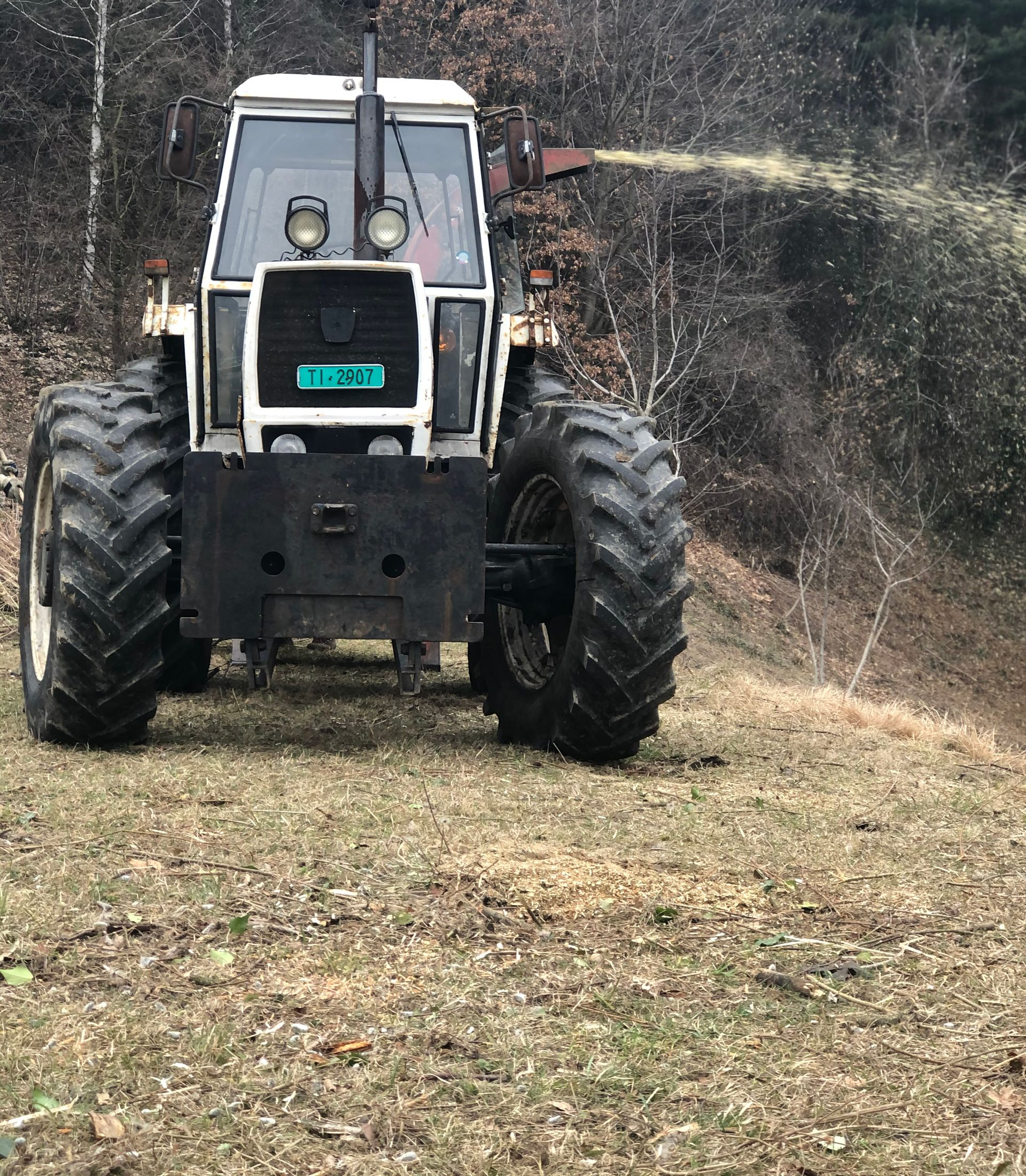 Riva Giorgio Commercio Legna - Pulizia terreni 