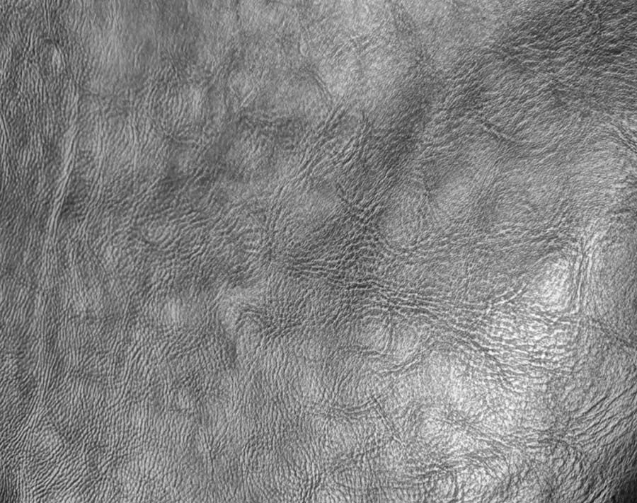 Primer plano de la textura arrugada del cuero gris con una zona reflectante más clara.