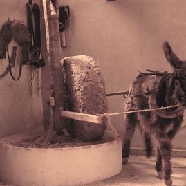 Un burro está tirando de una rueda grande en una habitación.