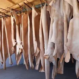 Hileras de pieles curtidas o láminas de cuero colgadas para secar en estantes de metal en un taller.