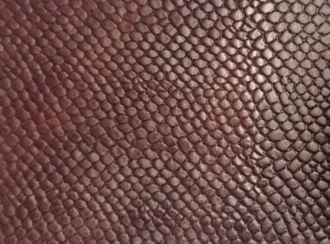 Primer plano de piel de reptil granate texturizada con pequeñas escamas superpuestas.