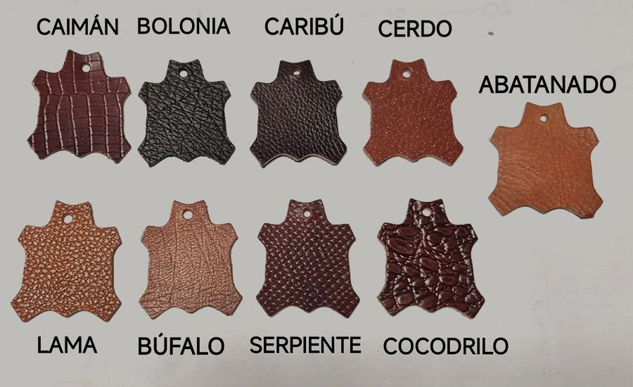 Muestras de pieles de animales etiquetadas en español, dispuestas sobre un fondo claro.