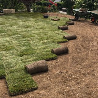 Une rangée de rouleaux d'herbe posés sur un champ de terre à côté d'une brouette.