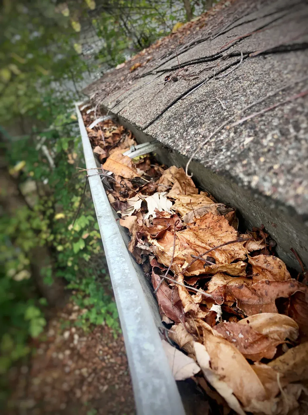 Gutter filled with wet leaves beside a shingled roof edge and tree-lined ground below