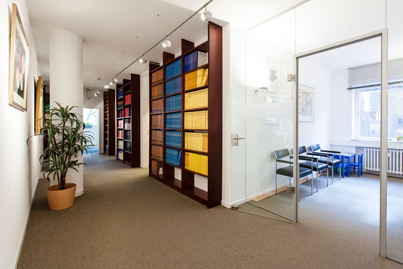 Moderner Büroflur mit farbiger Glaswand, Topfpflanze und gläsernem Besprechungsraum auf der rechten Seite.