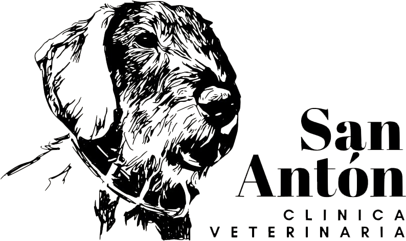 logotipo cabecera