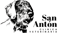 logotipo cabecera