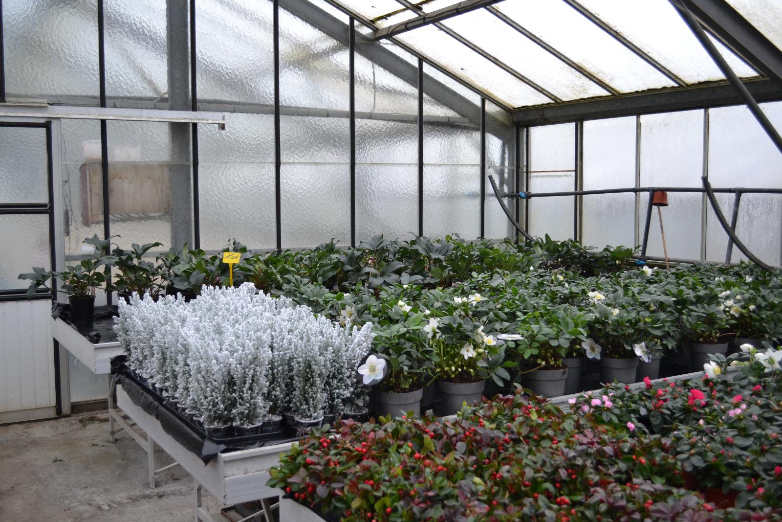 Production et vente de plantes