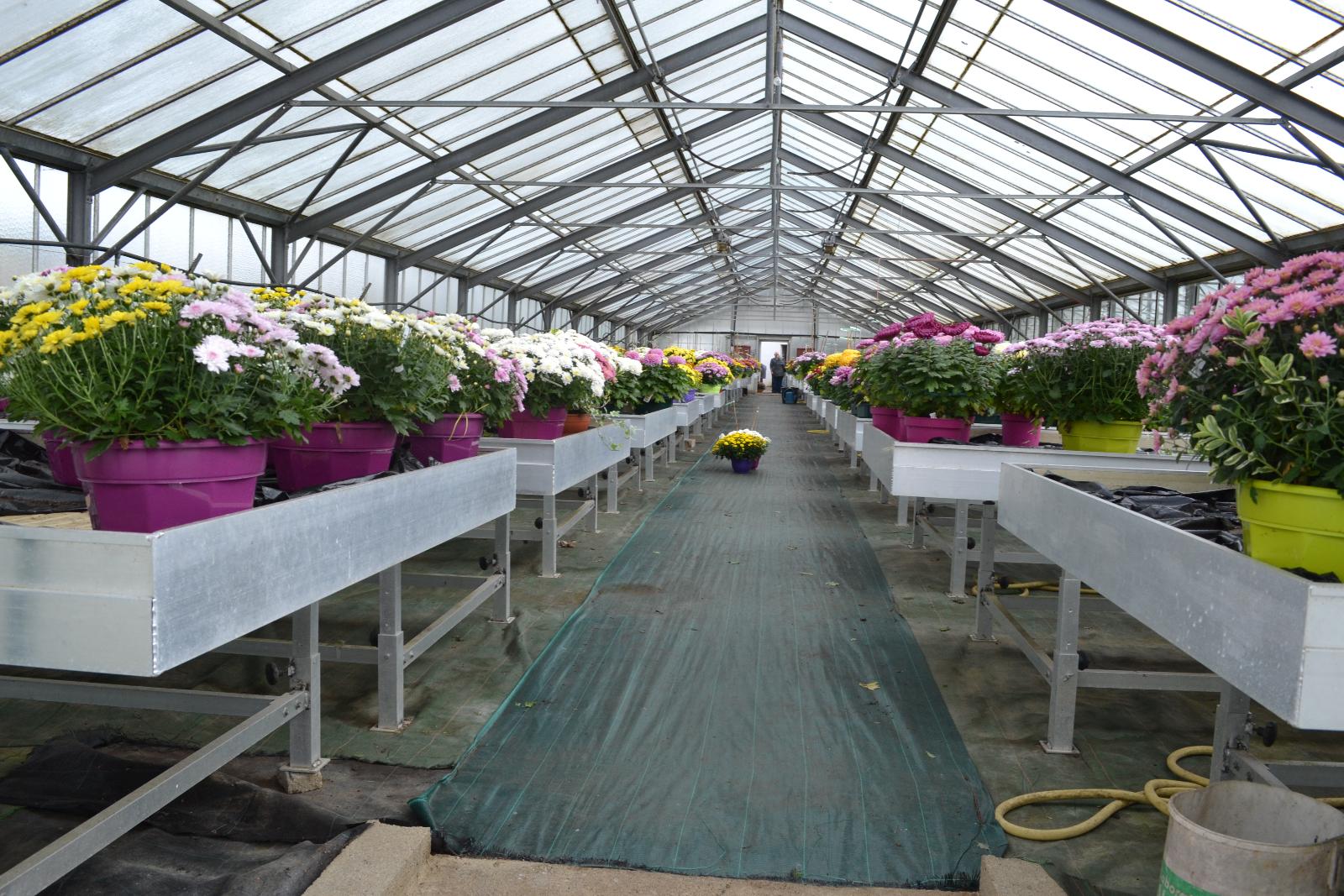 Serres de production