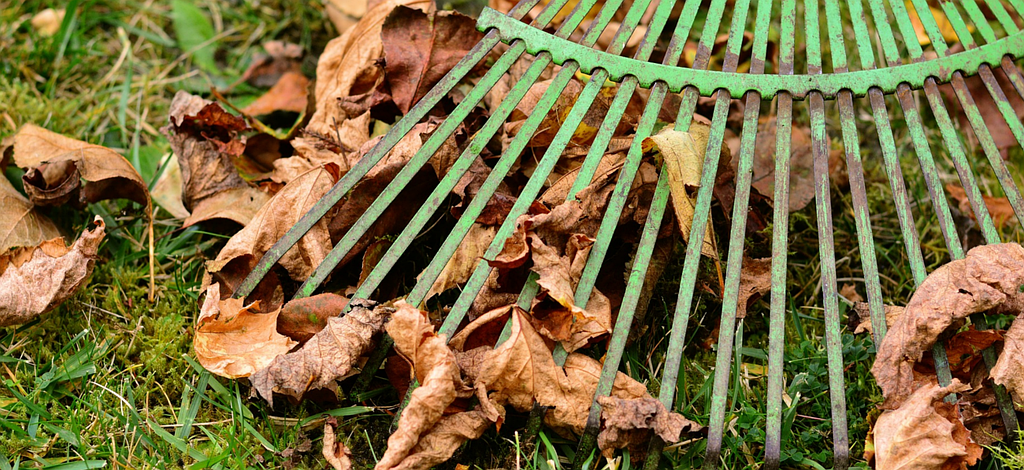 Ramassage de feuilles