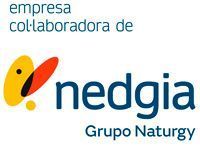 Es un logotipo de una empresa llamada nedgia.